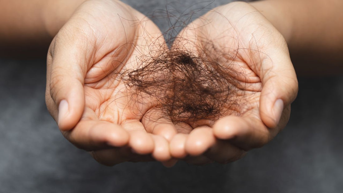 Caída del pelo en la menopausia, especialmente en otoño